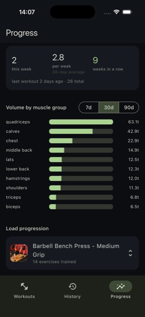 Tela de progresso com o volume treinado por grupo muscular